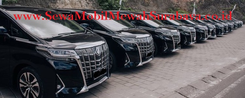 rental mobil alphard surabaya