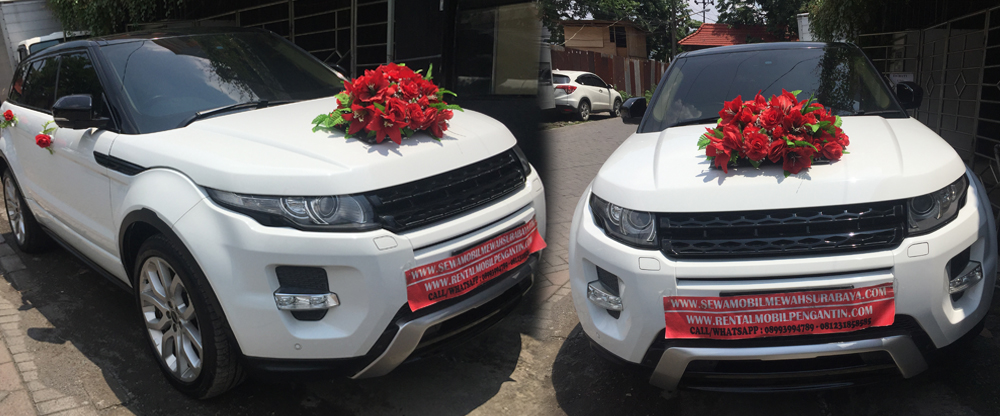 rental mobil alphard surabaya